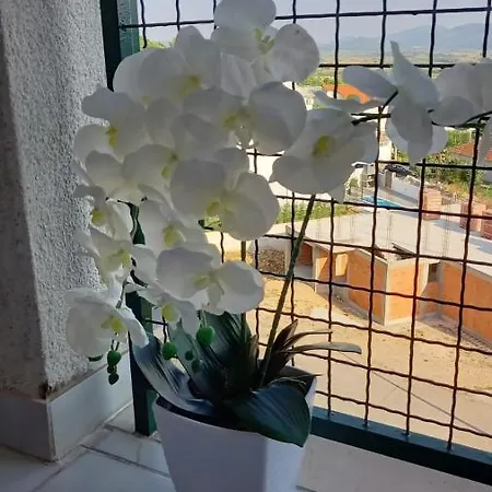 Elena Apartamento